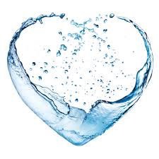 aquafina428's profile picture. The best water around !