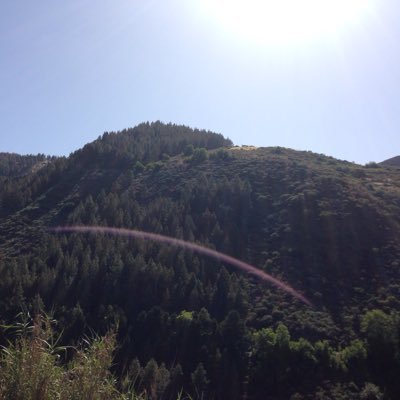 ElgranBuzo's profile picture. Hombre casado