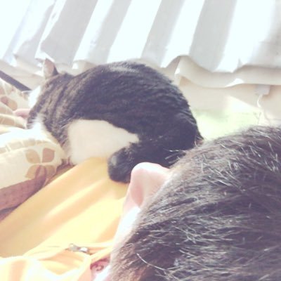 猫好き/UVERworld/独り言や、その時思った事を気ままにつぶやきます/ラフにいきましょう/フォロバ率100%