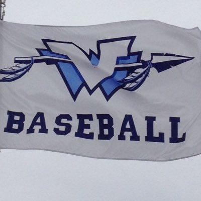 wvalleybaseball Profile Picture