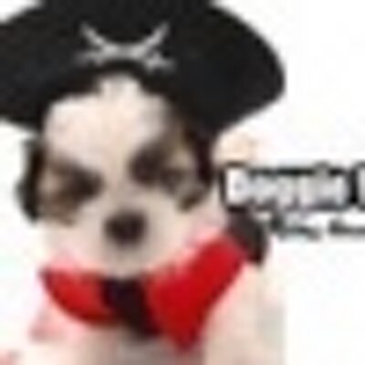 Doggie Wardrobe Doggiewardrobe Twitter