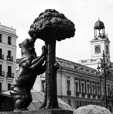 El medio que te conecta con la capital, a cargo de un grupo de jovenes periodistas que daremos voz a las Asociaciones y a la gente de la calle. Sé protagonista!