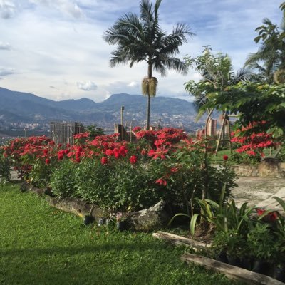 GloriaS69970518's profile picture. Cultura Noticias Política