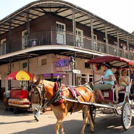 Discover New Orleans - Part of the Discover County Network