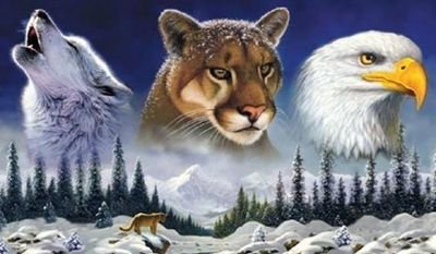 LuisRam66347706's profile picture. 
