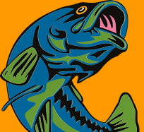 Online fishing tournament management and registration