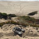 Ryan Magner - @rmagner_ryan - Twitter