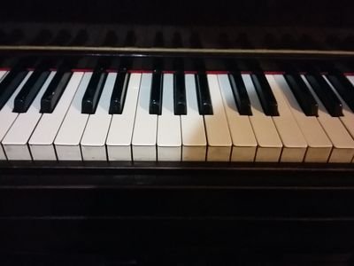 La Abogacía es mi profesión, el piano mi pasión y mi familia, mi sueño.