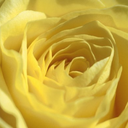 Sawsan Abdallah - @um_soltan - Twitter