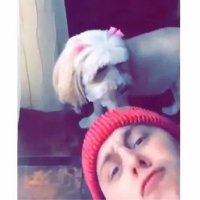 Ratliff's Grumpy Dog (@grumpydogr5) 's Twitter Profile