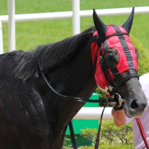 結果よりも人馬共に無事が一番。馬と騎手、調教師、スタッフ、馬主さん、競馬に携わっている全ての方に敬意を払い感謝しています。写真は対象が対象なだけに転載、配布、使用等はご遠慮ください。馬券は予想しても当たらない事に定評が……。引退馬のセカンドキャリアと馬術も応援しています。