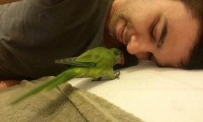 Carlito88273131's profile picture. 