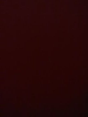 phoebelyinn's profile picture. ....