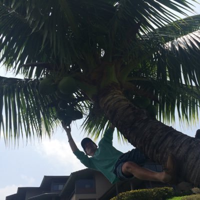 radnucci's profile picture. If you didn't know what I could do you'd call it magic.