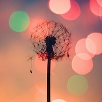 Sarah (@sarah_graus) 's Twitter Profile
