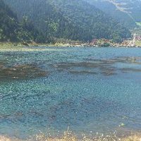 Tarık ARAS (@tarikaras76) 's Twitter Profile