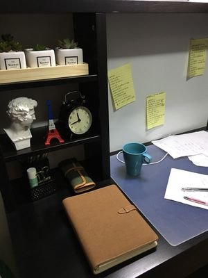 wangxin6311175's profile picture. 