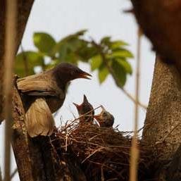 OdishaChannel's profile picture. A Bhubaneswar-based online news portal.