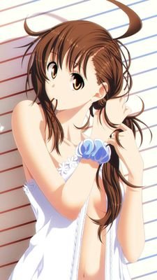 ハナちゃんちゃんさんのプロフィール画像