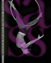 Owner of SASS Pole Fitness and Aerial Arts Studio ~ Pole Competitor & Performer ~ Canadian Pole Fitness Champion 2011 ~ Mother of 2 ~ Vegan