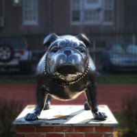 Haddonfield Lacrosse (@haddonfieldlax) 's Twitter Profile