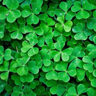 kmmtamas's profile picture. Smile and the whole world will smile with you.