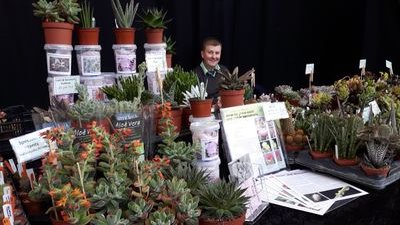 Growers of all things cactus and succulent