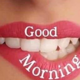 REDNET74742's profile picture. ELEKT