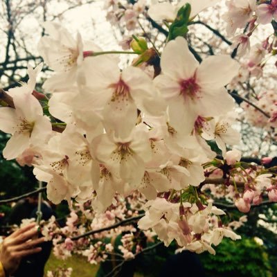 yumajiji's profile picture. 