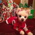 Donna M. D'Arcangelo (@donnamdarcangel) Twitter profile photo Donna M. D'Arcangelo (@donnamdarcangel) Twitter profile photo