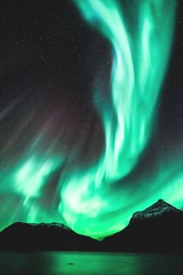 laxis555's profile picture. 