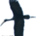 openbill (@openbill) Twitter profile photo