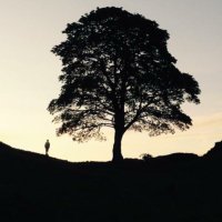 Jacqui Eccles (@jaxeccles) 's Twitter Profile