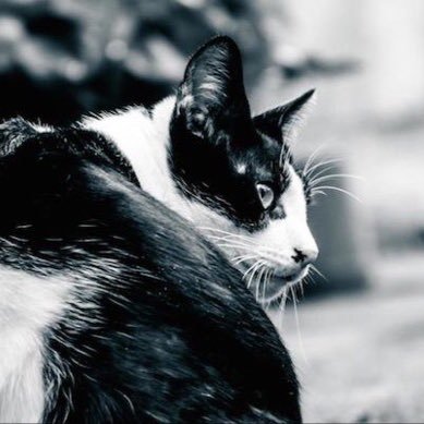 KusuriHukuro's profile picture. 東工大16 東工大の皆さんよろしくお願いします。