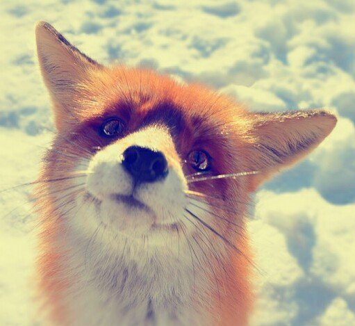 ilpalmare's profile picture. 