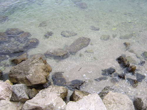 Monkeynutty's profile picture. Hmmmm!