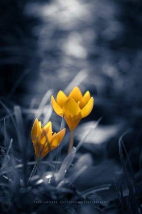 Deaconvijay's profile picture. 