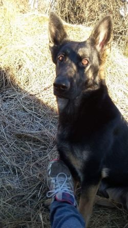 DonavonKlassen's profile picture. 