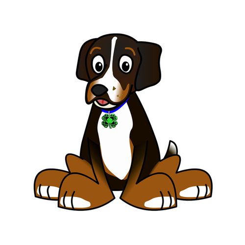 luckypawz's profile picture. Dog daycare & boarding in Iowa City and North Liberty.