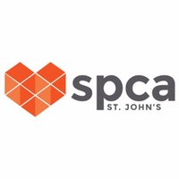 SPCA St.John's(@SPCAStJohns) 's Twitter Profile Photo