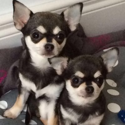 minnie_maud's profile picture. We are two sisters who love life .