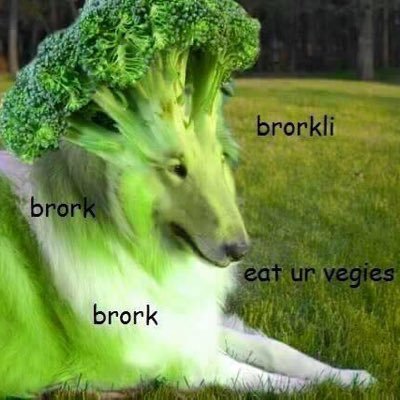 free follow from @kayliefries ^-^ follow me there for some dank tweets cx
