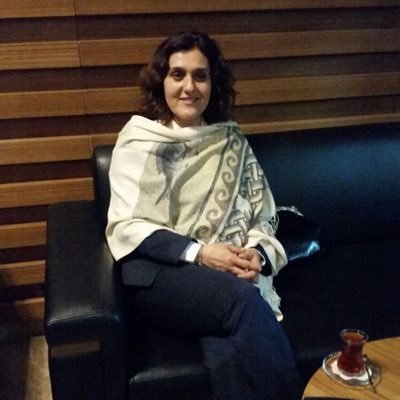 gulersin_kesici's profile picture. Eczacı,Beşiktaş Kongre Üyesi .