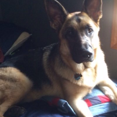 JasonEl53811814's profile picture. RIP mom