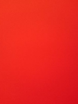 hinako_nekoneko's profile picture. 