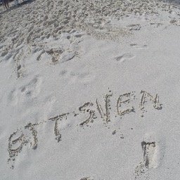 BjtsvenBrian's profile picture. 