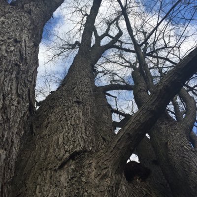 murattailor's profile picture. 