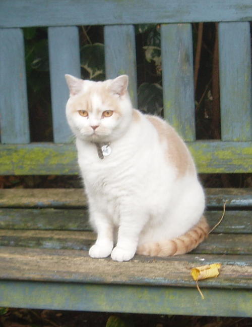 jengo2011's profile picture. 