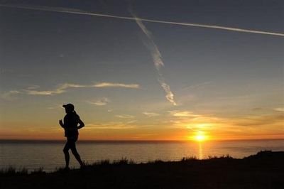 libelula_S's profile picture. ⚡️