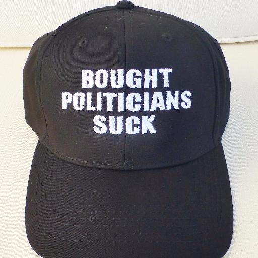 Bought Politicians Suck